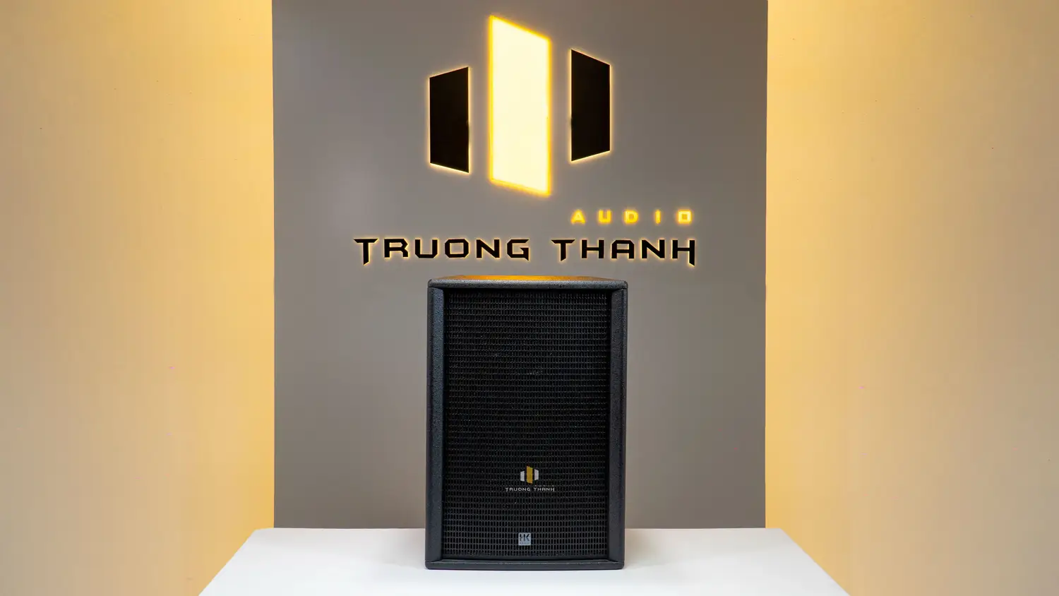 Mặt trước của Loa HK Audio KP12