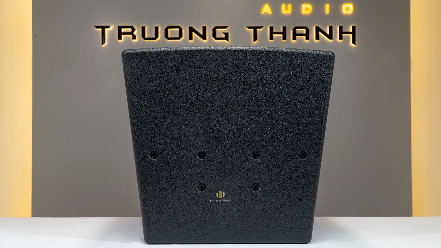 Mặt dưới của Loa HK Audio KP12