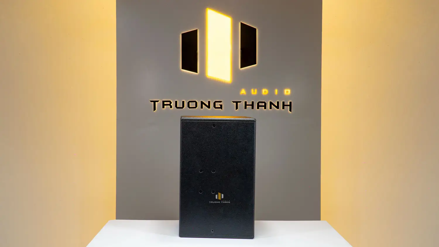 Mặt bên của Loa HK Audio KP12