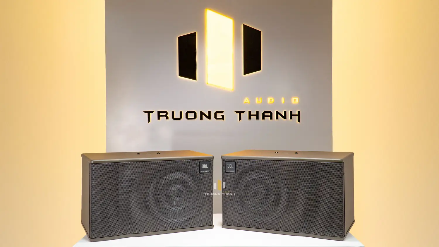 Mặt trước của đôi Loa karaoke JBL MK 10