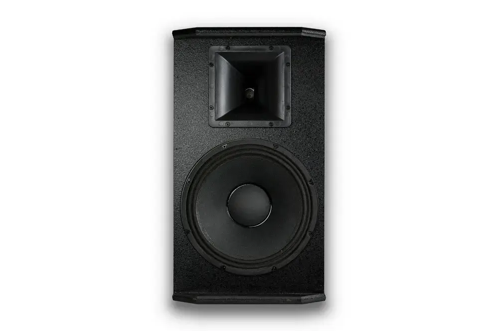 Mặt trong của Loa Karaoke CAVS P12 Plus