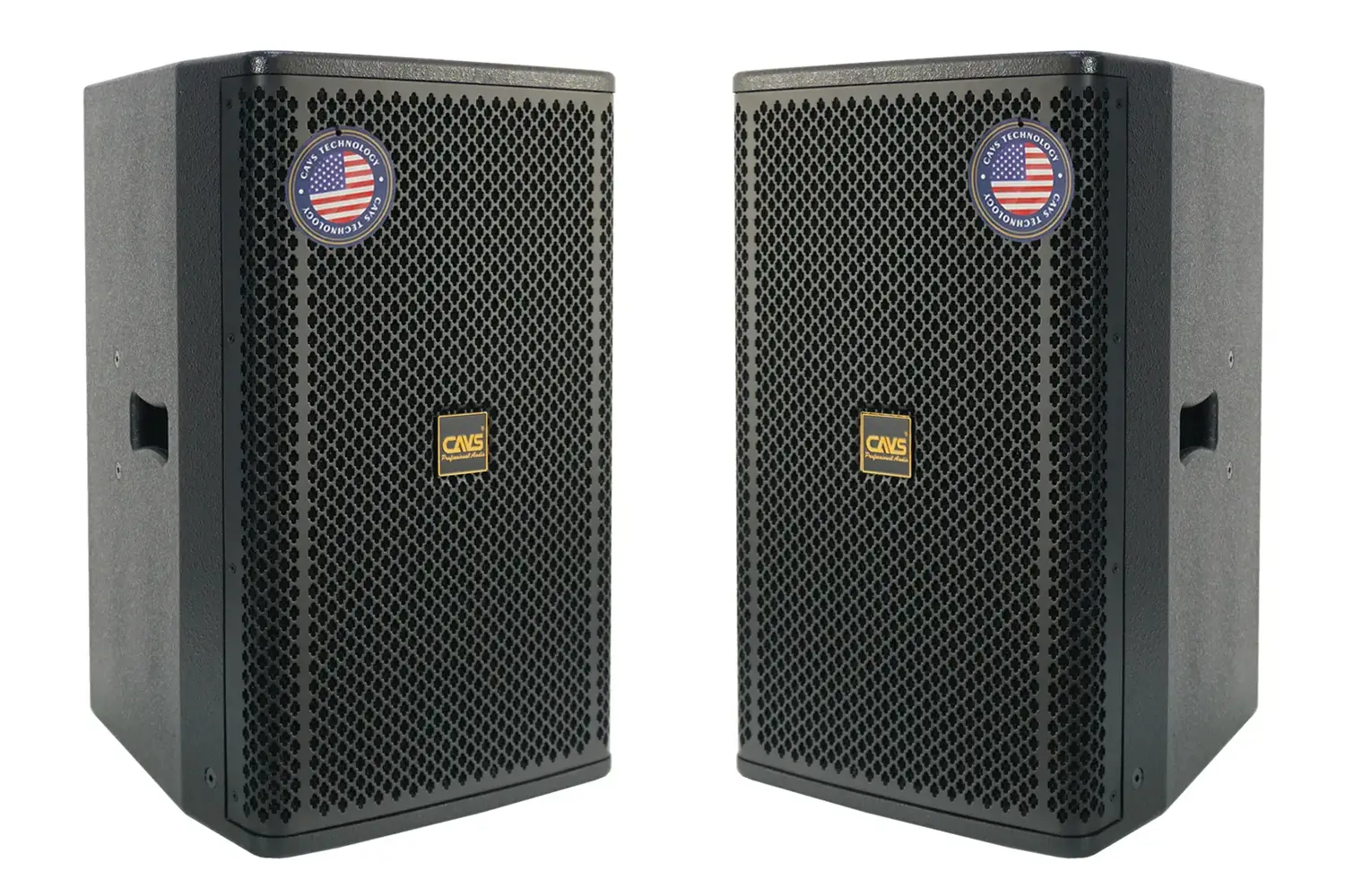 Mặt trước của Loa Karaoke CAVS P12 Plus