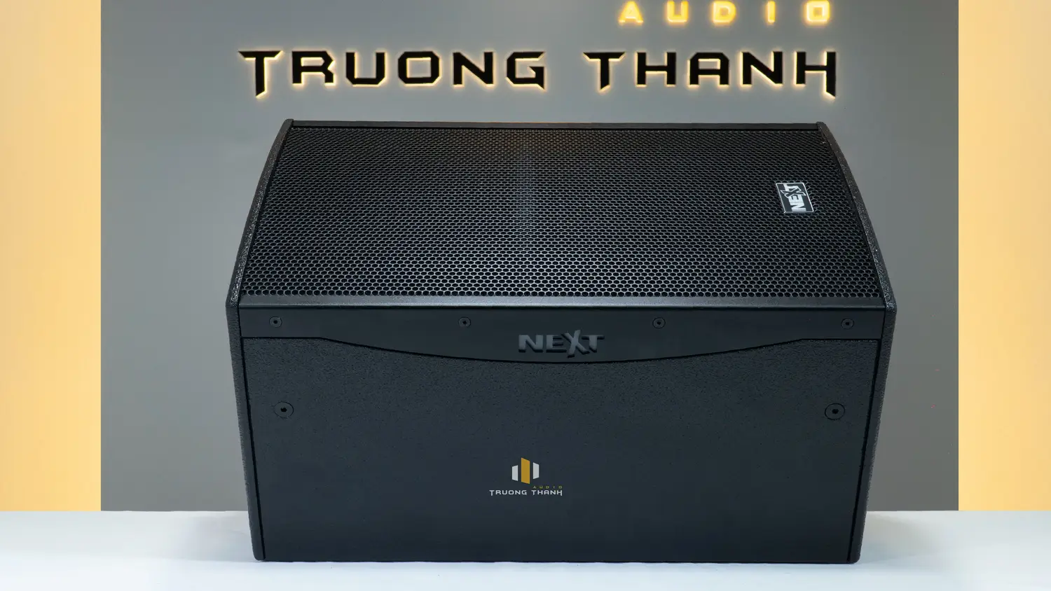 Mặt bên của Loa Next Proaudio PFA12