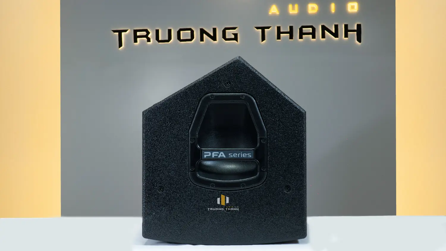 Mặt trên của Loa Next Proaudio PFA12