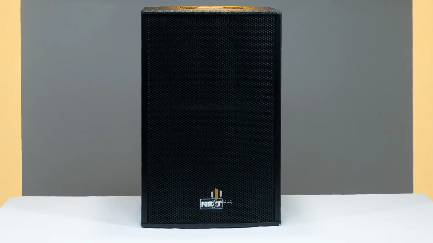 Mặt trước của Loa Next Proaudio PFA12