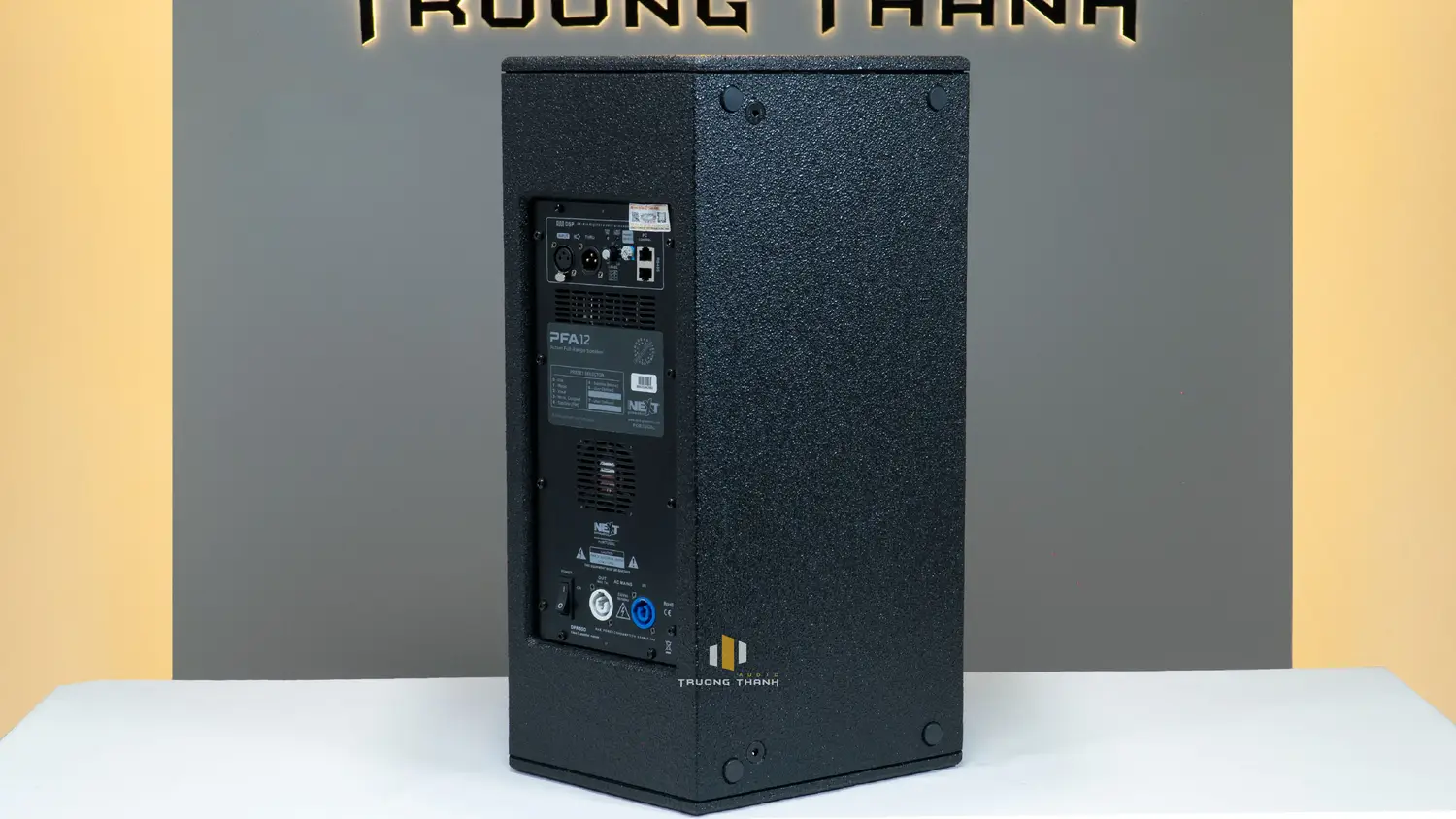 Mặt sau của Loa Next Proaudio PFA12