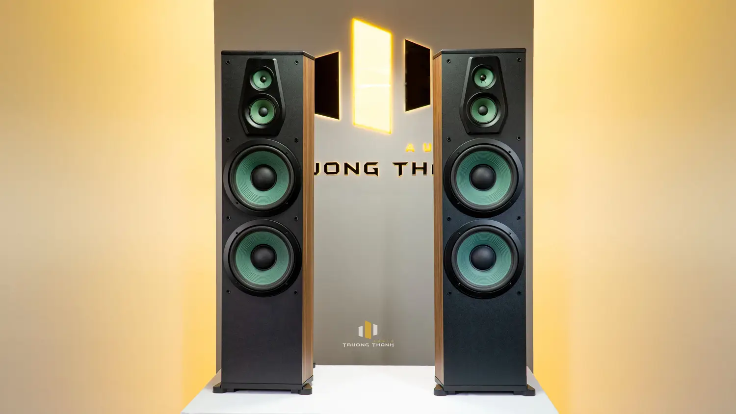 Ảnh