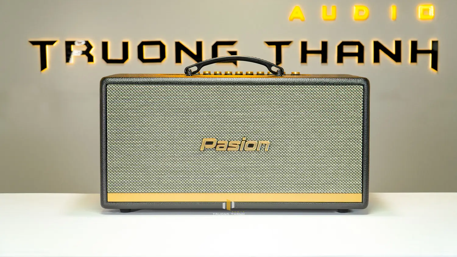 Mặt trước của Loa Di Động Xách Tay Paramax PASION 2