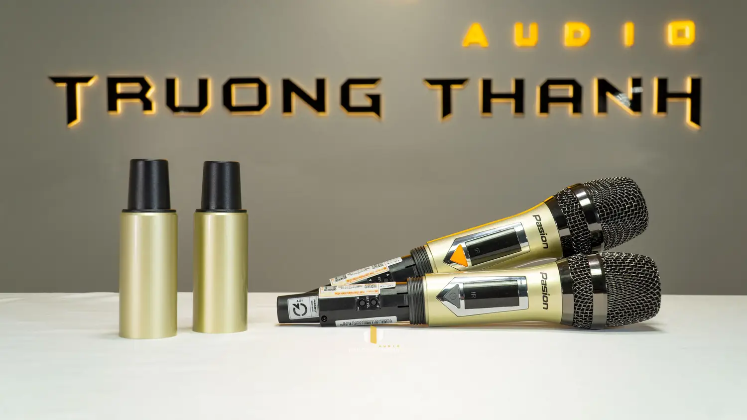 Micro không dây của Loa Di Động Xách Tay Paramax PASION 2