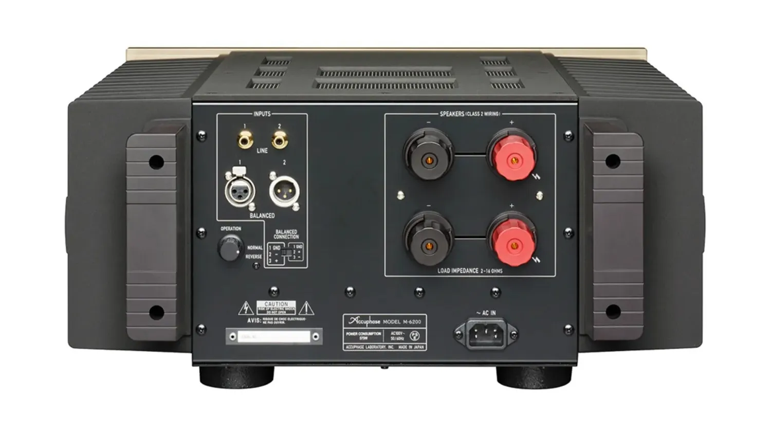 Mặt sau của Mono Power Amply ACCUPHASE M-6200