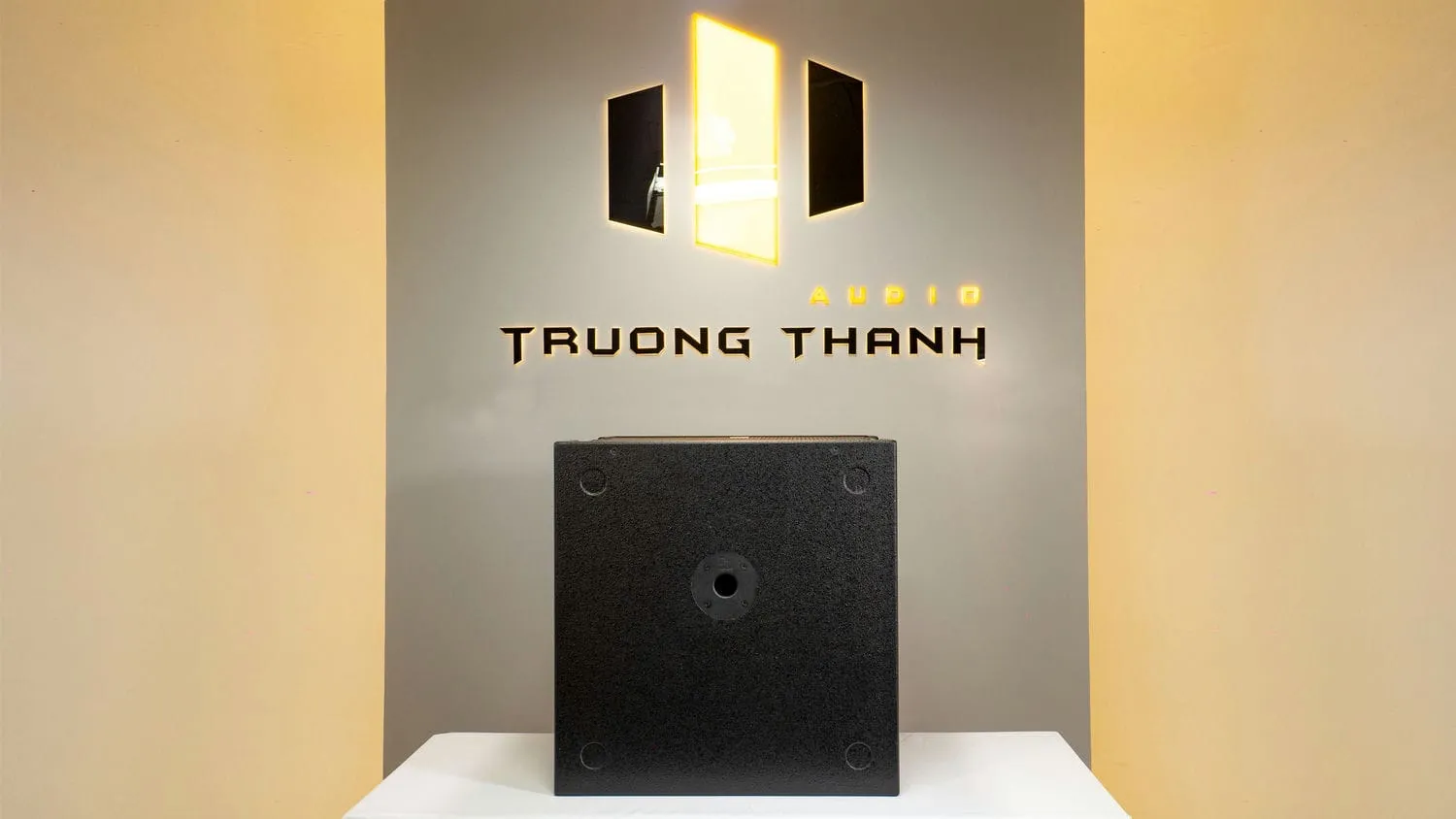 Ảnh sản phẩm Loa Sub hơi DT Sigma118 bass 50cm 4