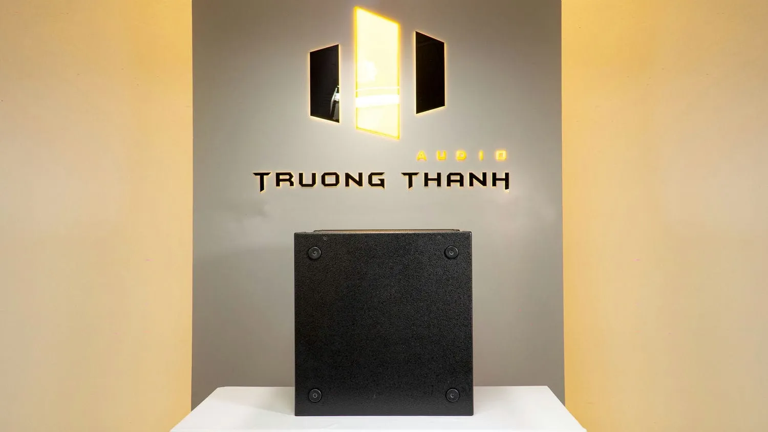 Ảnh sản phẩm Loa Sub hơi DT Sigma118 bass 50cm 5