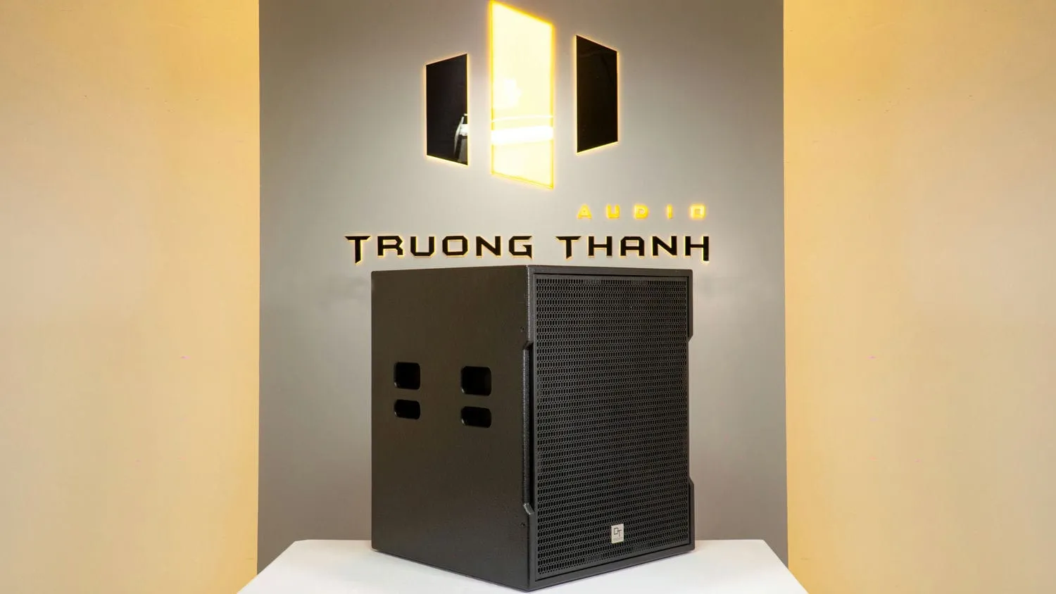 Ảnh sản phẩm Loa Sub hơi DT Sigma118 bass 50cm 11