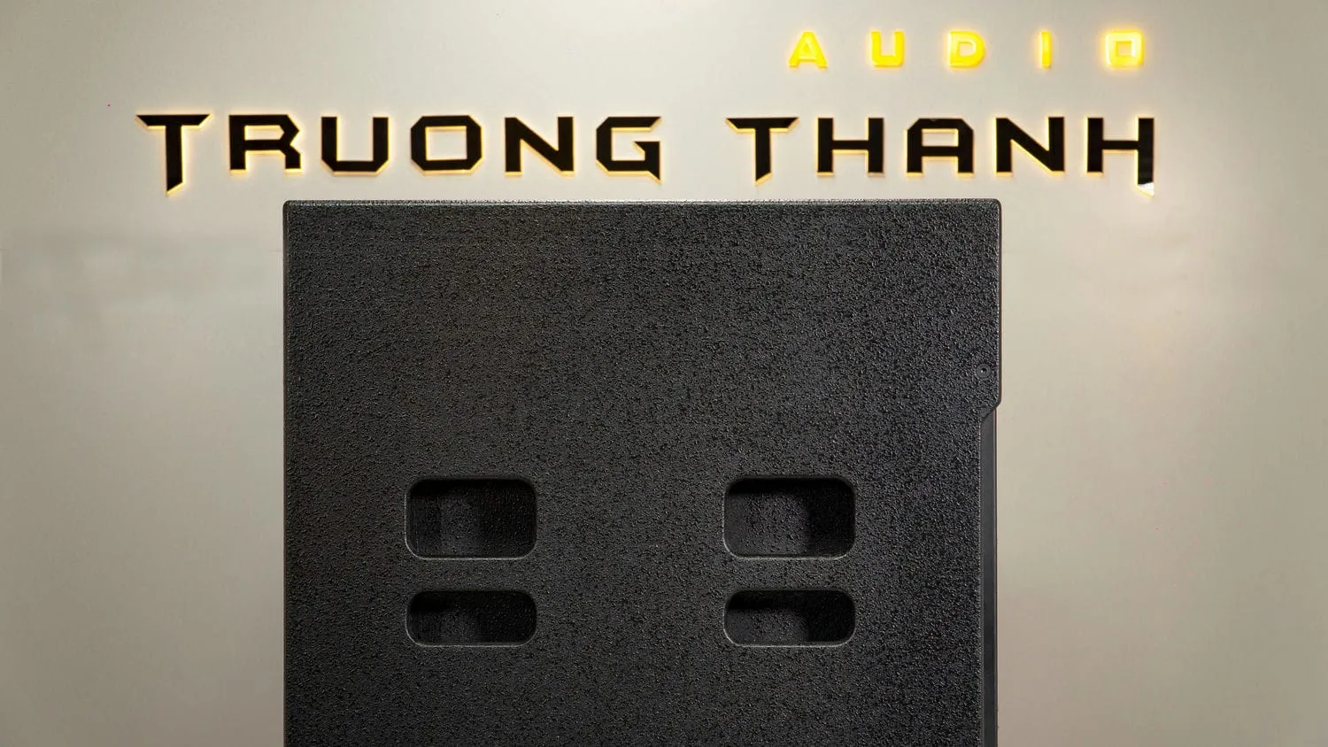 Ảnh sản phẩm Loa Sub hơi DT Sigma118 bass 50cm 13