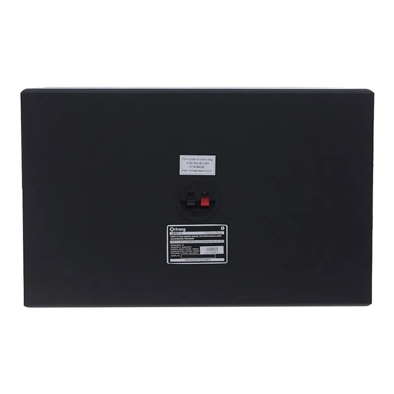 Loa arirang JANT II mặt sau