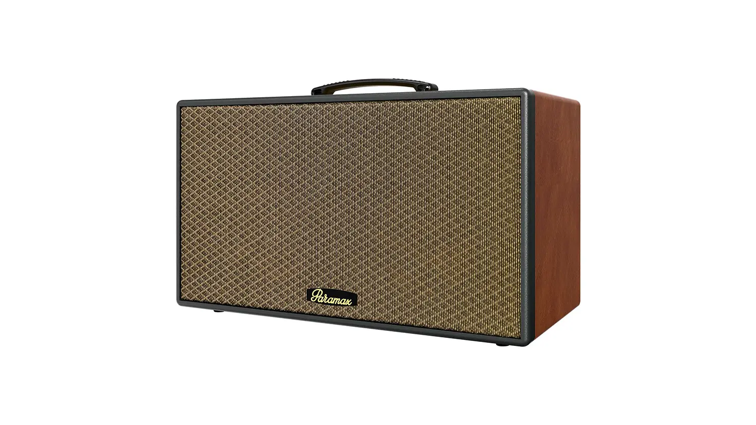 Loa Karaoke Di Động Paramax Aura nâu 1