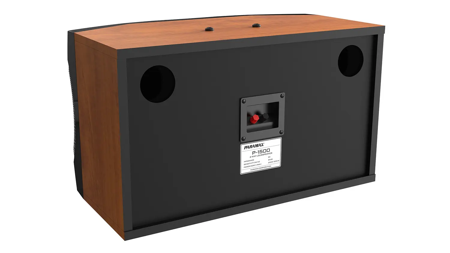 Loa Karaoke Paramax P-1500 mặt sau