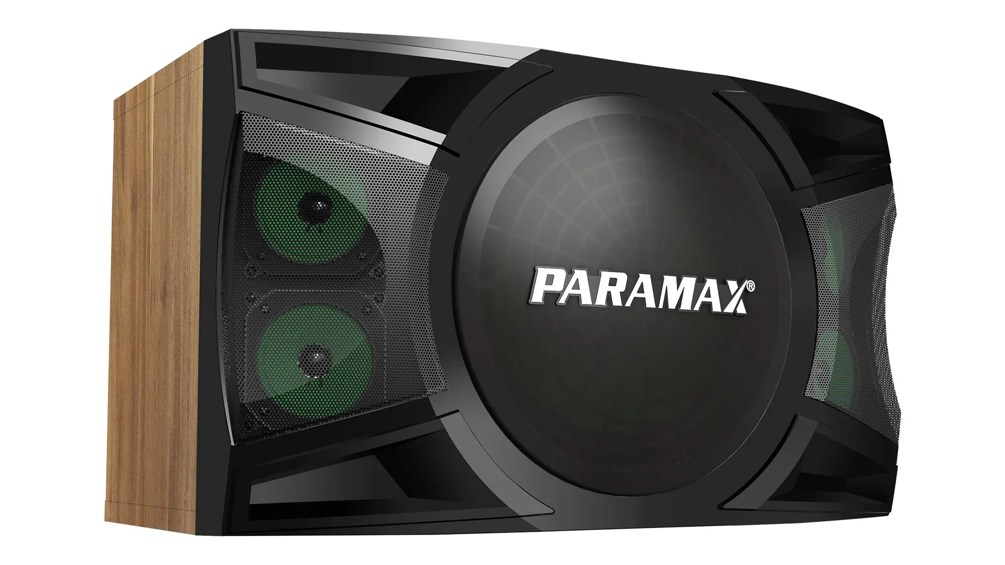 Loa Karaoke Paramax P-1500 mặt trước nghiêng