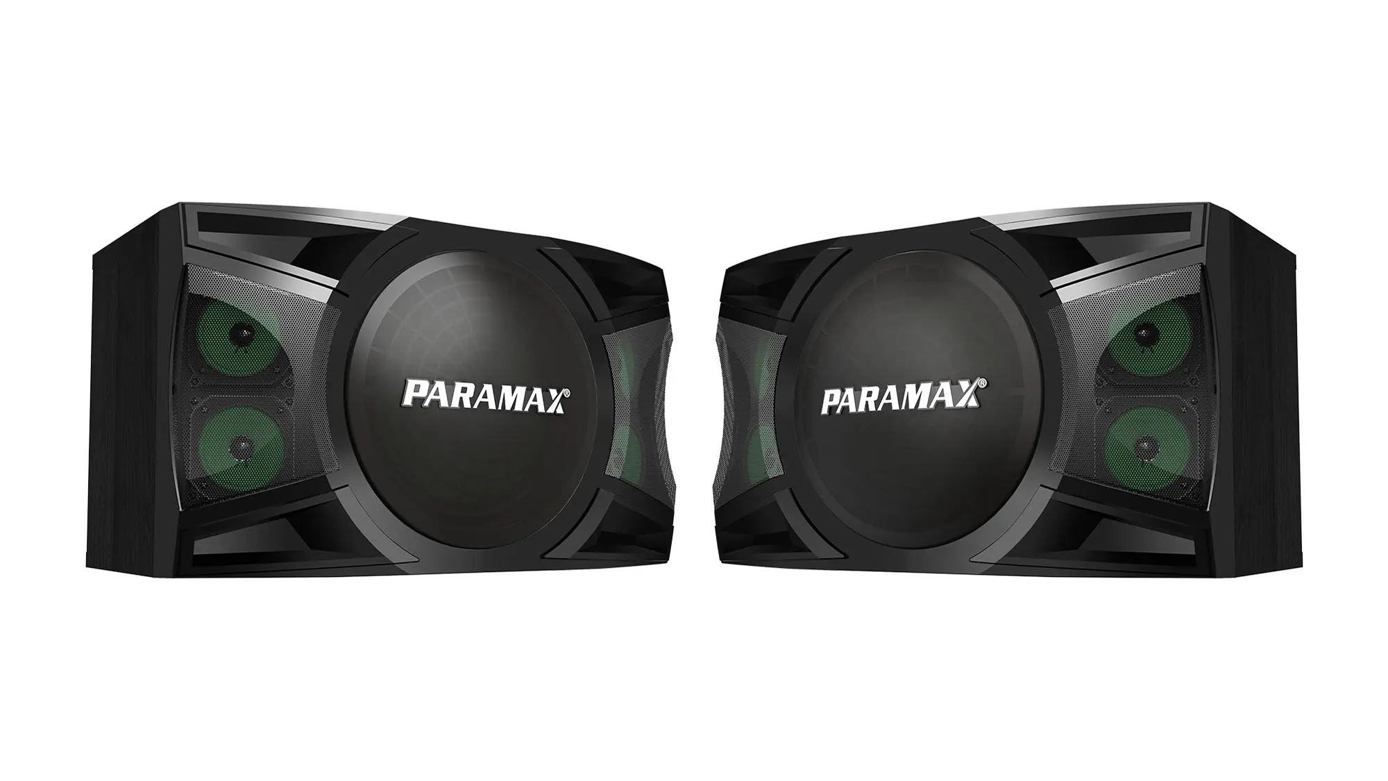Loa Karaoke Paramax P-1500 cặp loa đen