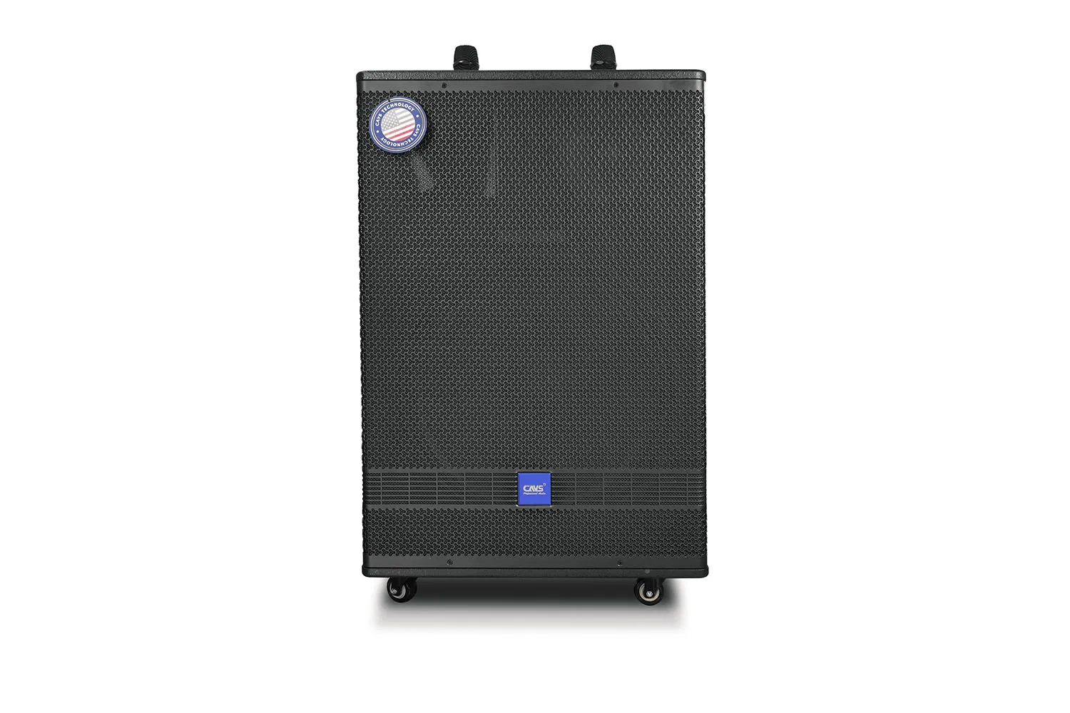 Loa Kéo Di Động CAVS PS15 bass 40cm mặt trước