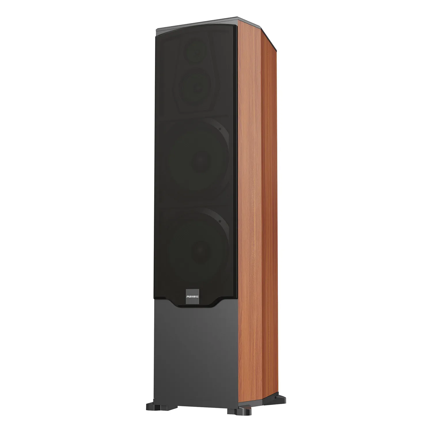 Loa Karaoke Paramax LX-2800 mặt nghiêng kèm lưới