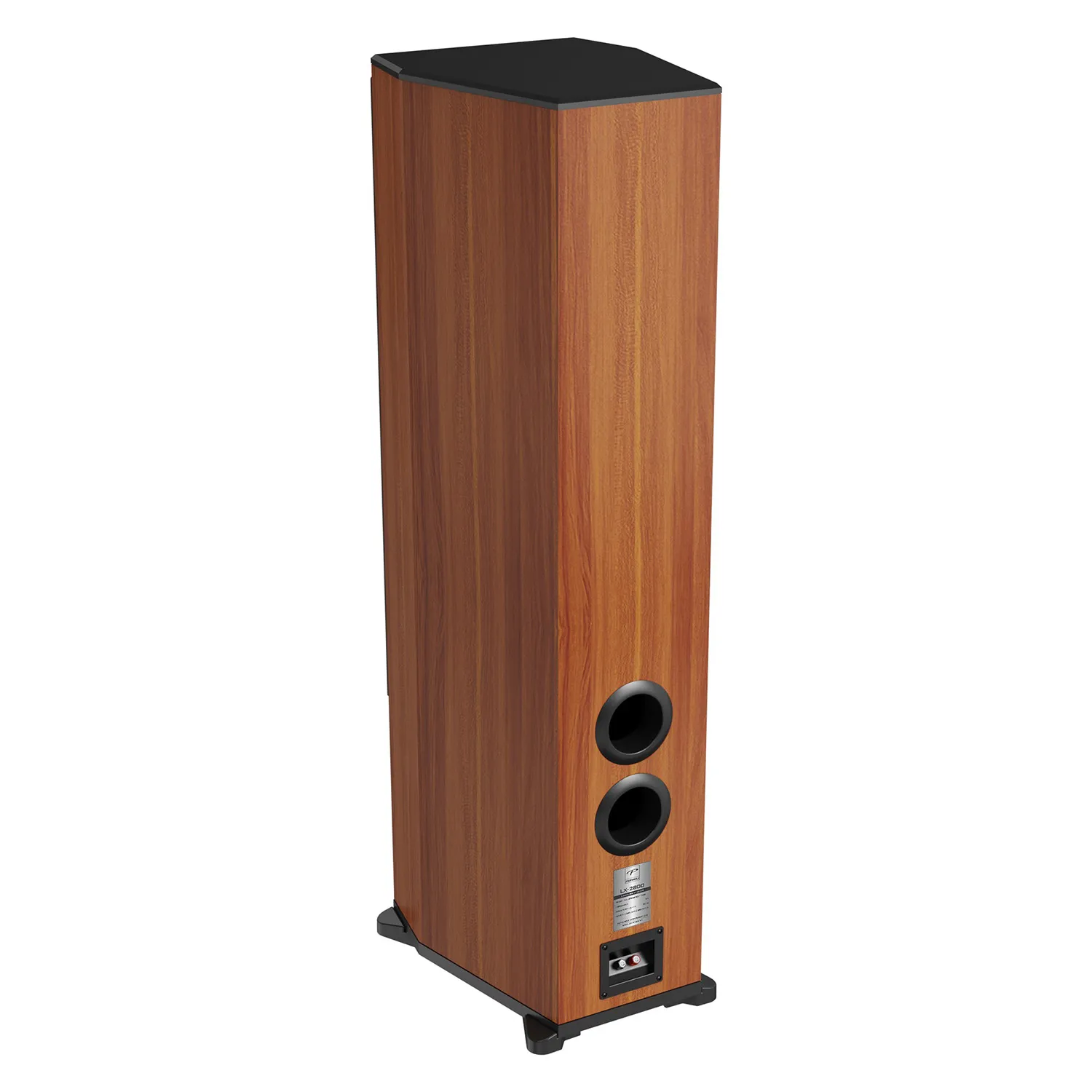 Loa Karaoke Paramax LX-2800 mặt sau nghiêng