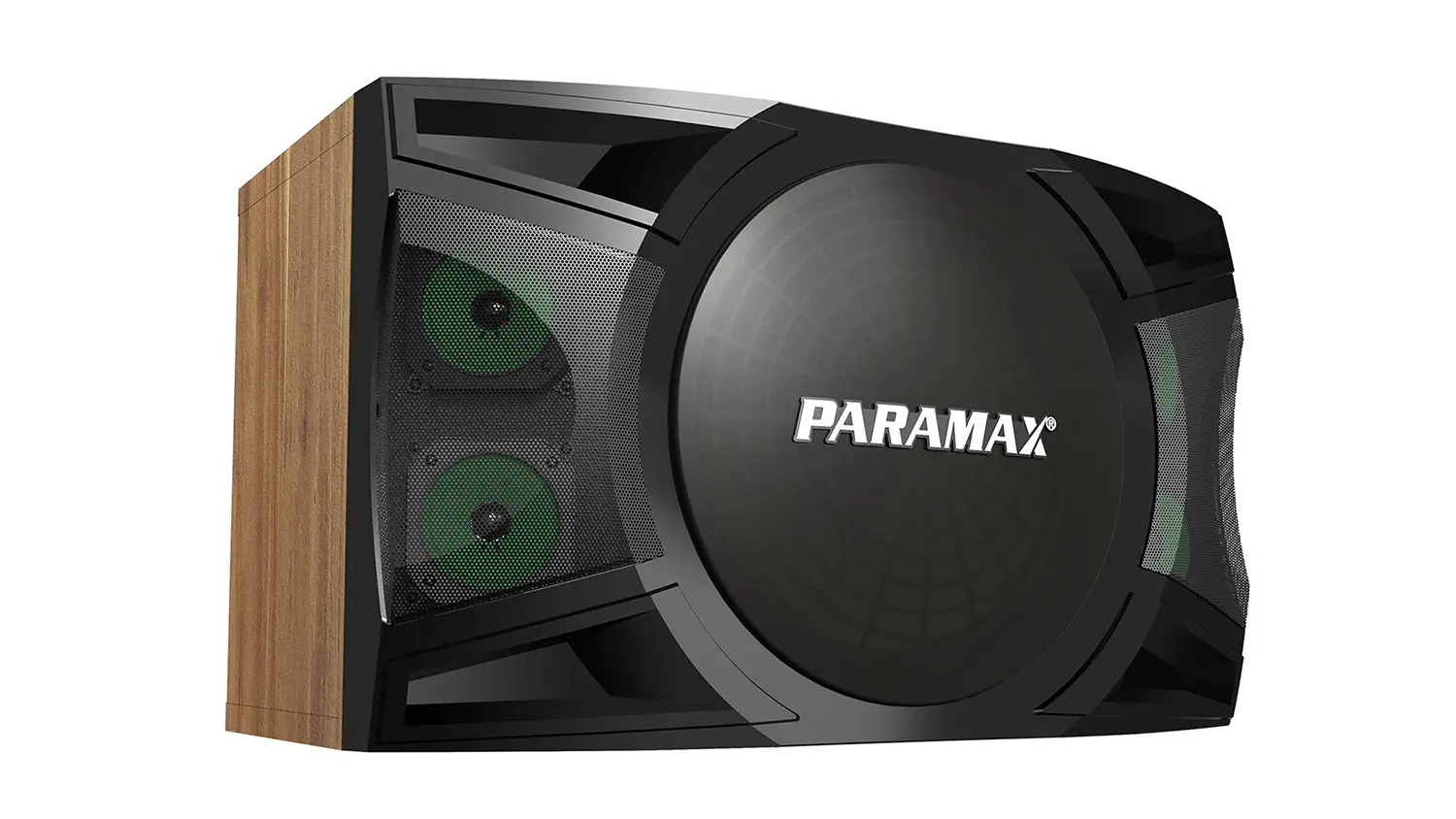 Ảnh sản phẩm Loa Karaoke Paramax P-2500 12