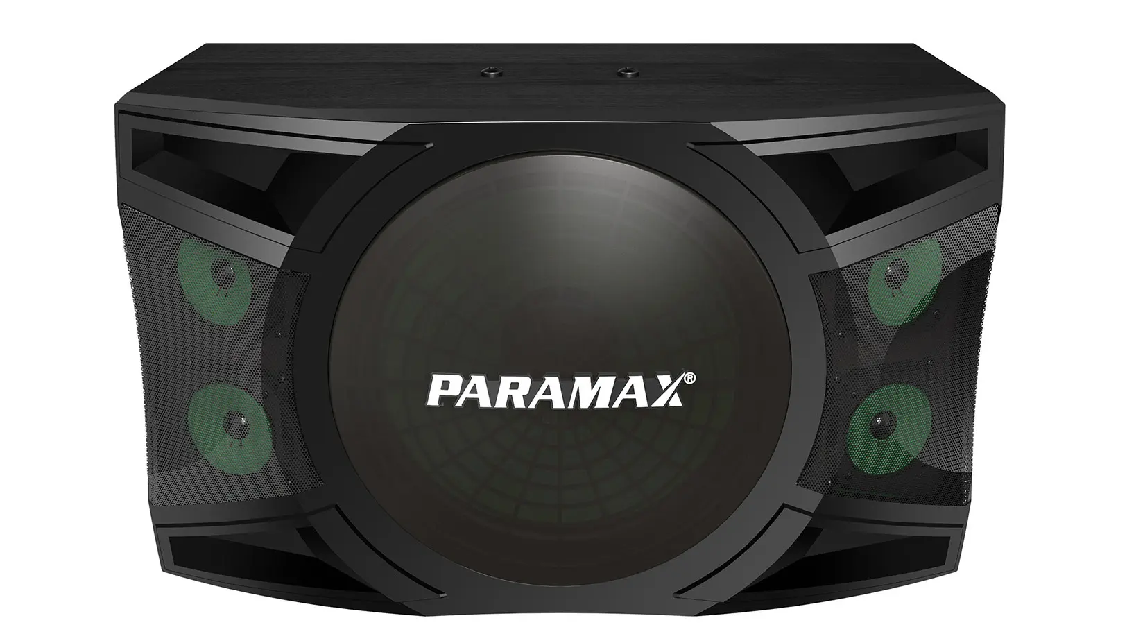 Ảnh sản phẩm Loa Karaoke Paramax P-2500 4