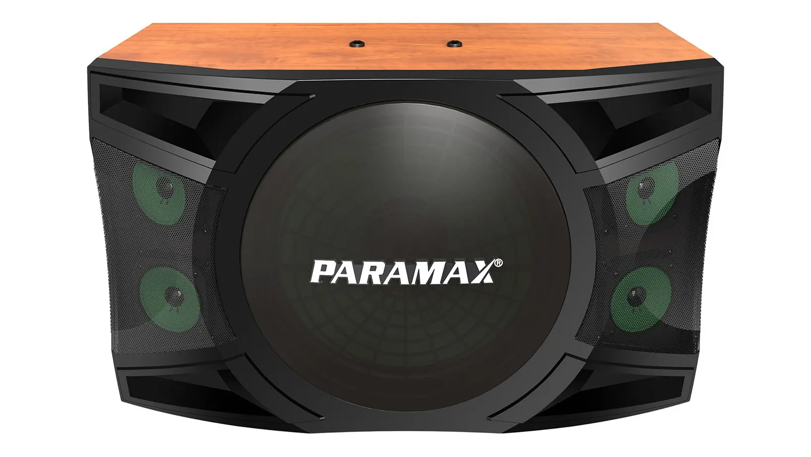 Ảnh sản phẩm Loa Karaoke Paramax P-2500 2