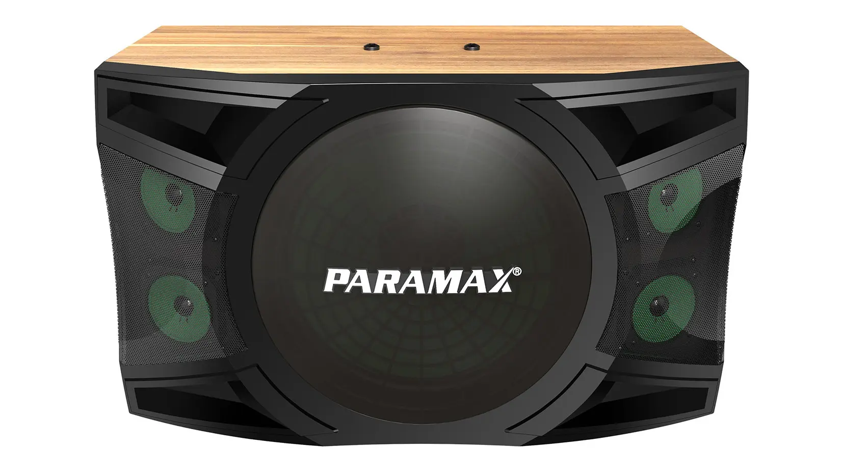 Ảnh sản phẩm Loa Karaoke Paramax P-2500 3
