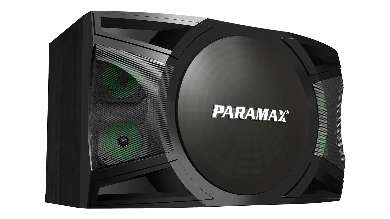 Ảnh sản phẩm Loa Karaoke Paramax P-2500 5
