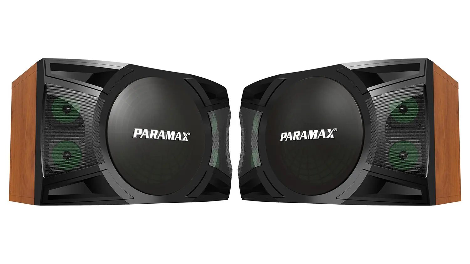 Ảnh sản phẩm Loa Karaoke Paramax P-2500 6