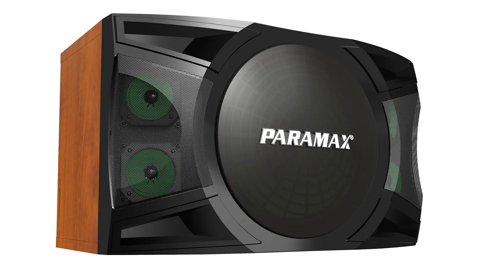 Ảnh sản phẩm Loa Karaoke Paramax P-2500 7