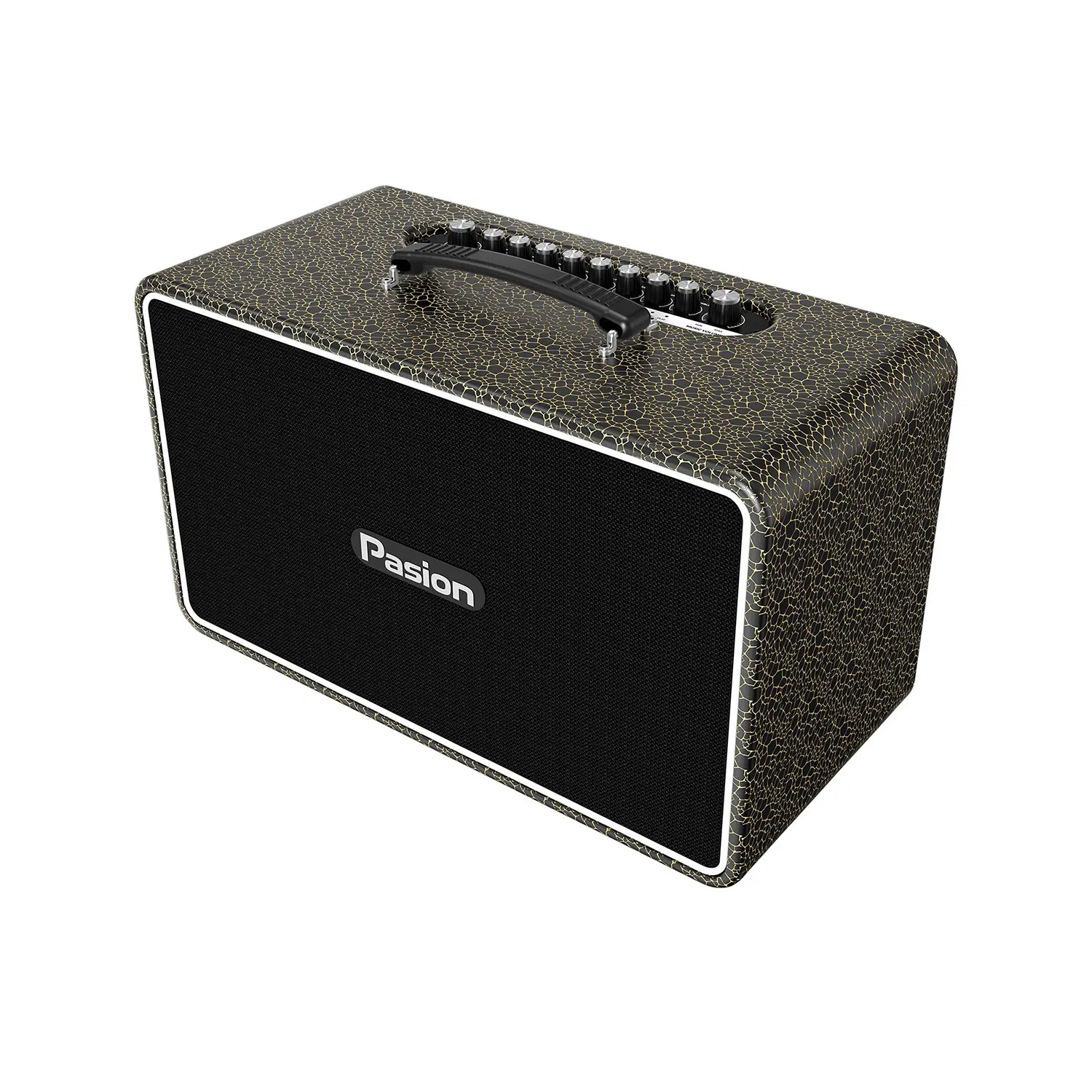 Loa Karaoke Di Động Paramax Pasion Arte đen sáng 1