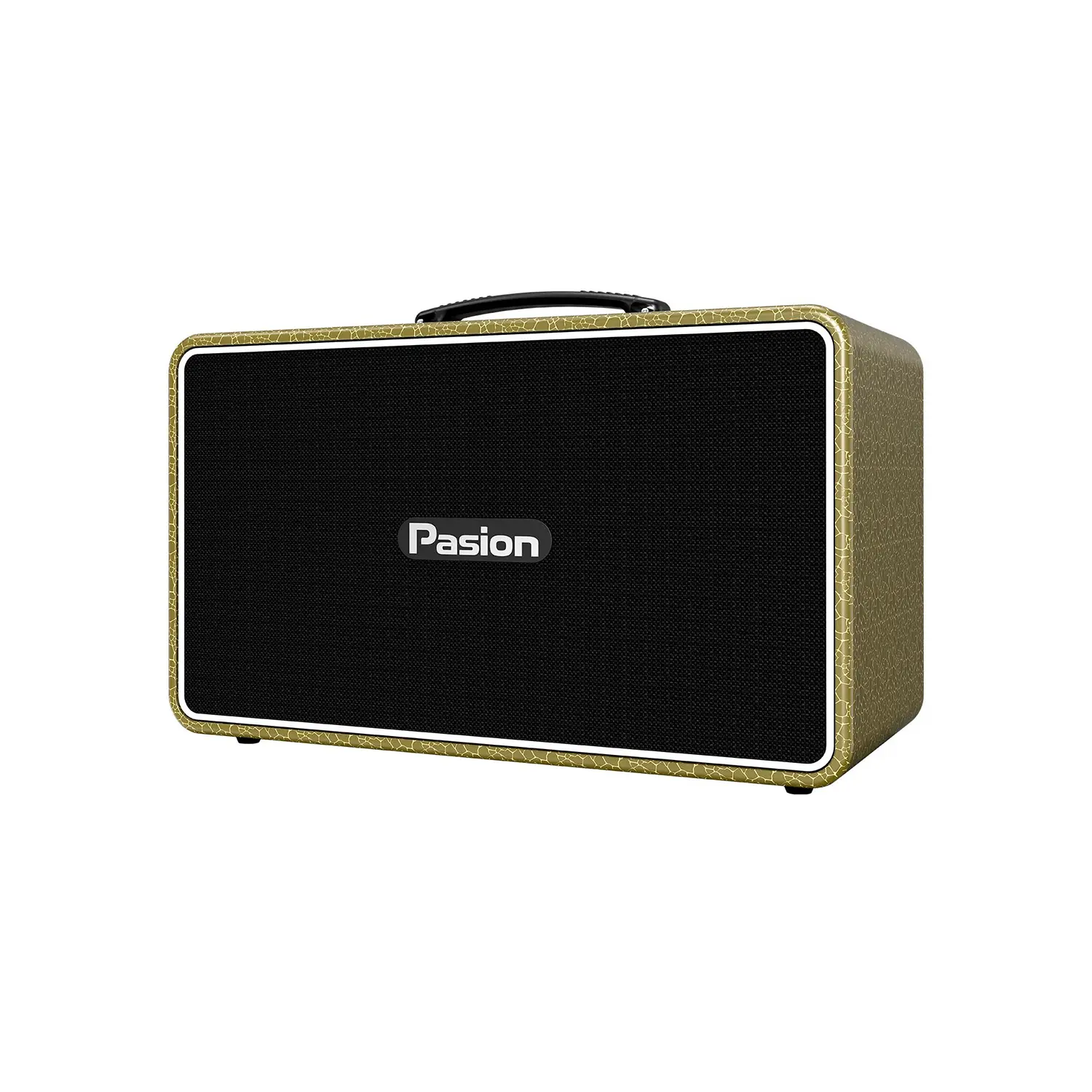 Loa Karaoke Di Động Paramax Pasion Arte vàng 1