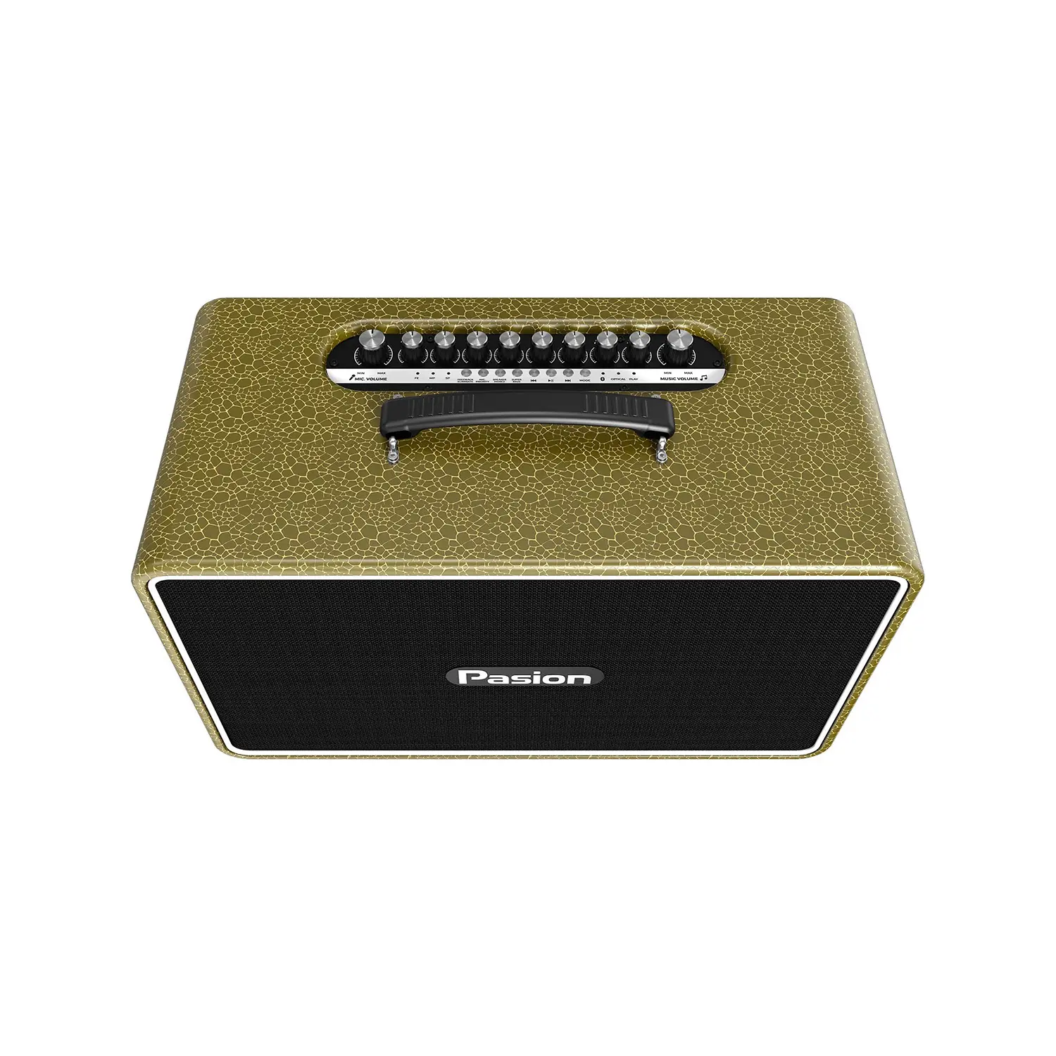 Loa Karaoke Di Động Paramax Pasion Arte vàng 2