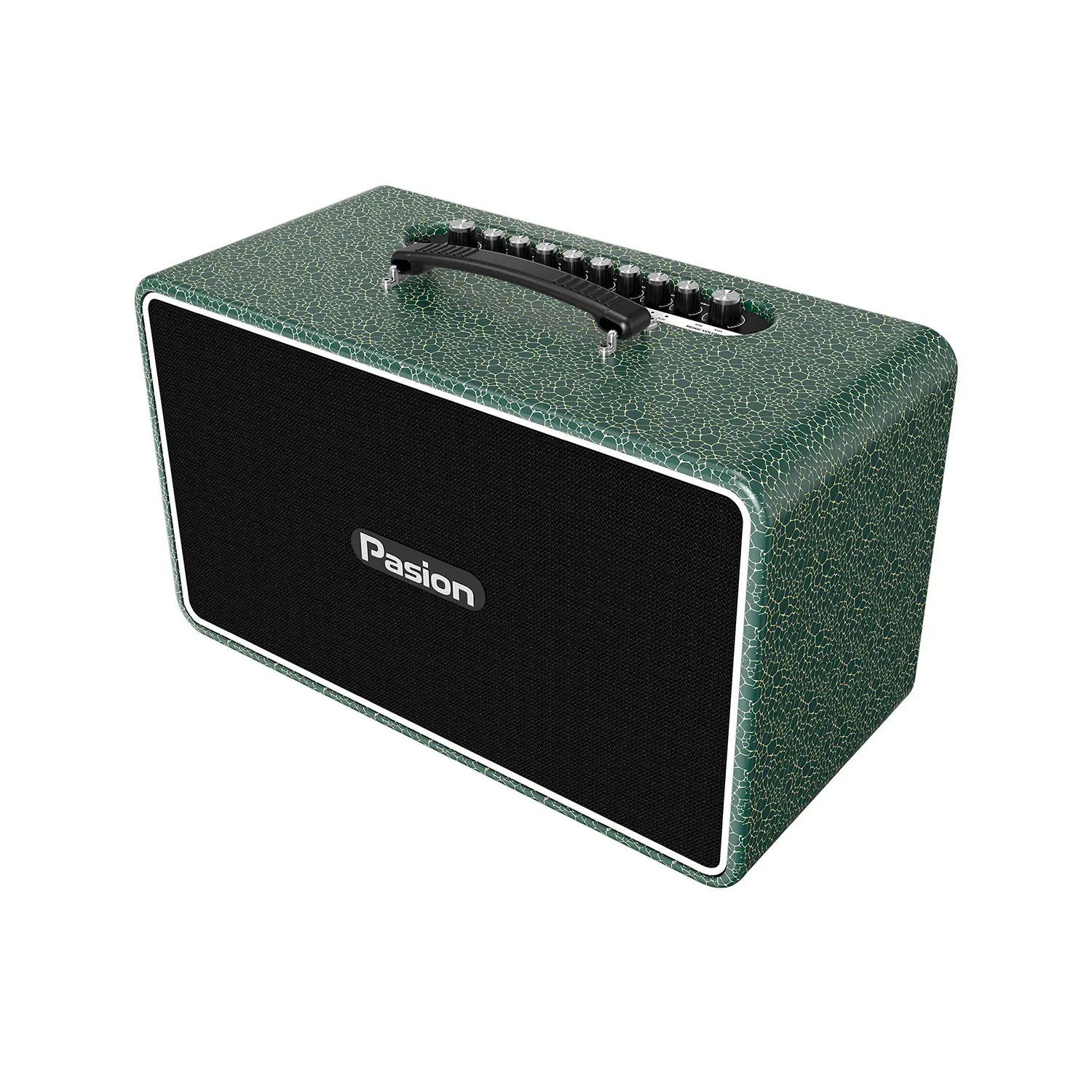 Loa Karaoke Di Động Paramax Pasion Arte xanh rêu