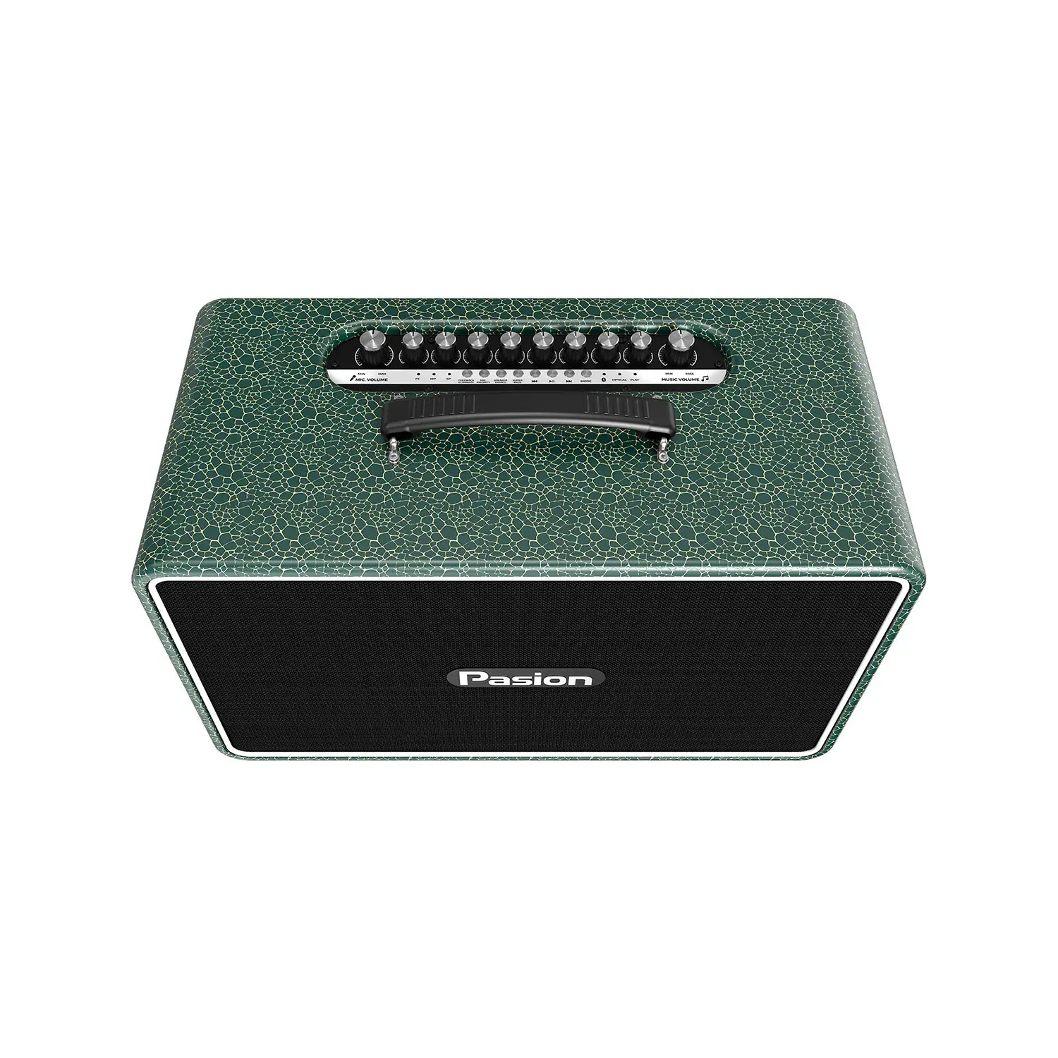 Loa Karaoke Di Động Paramax Pasion Arte xanh rêu 3