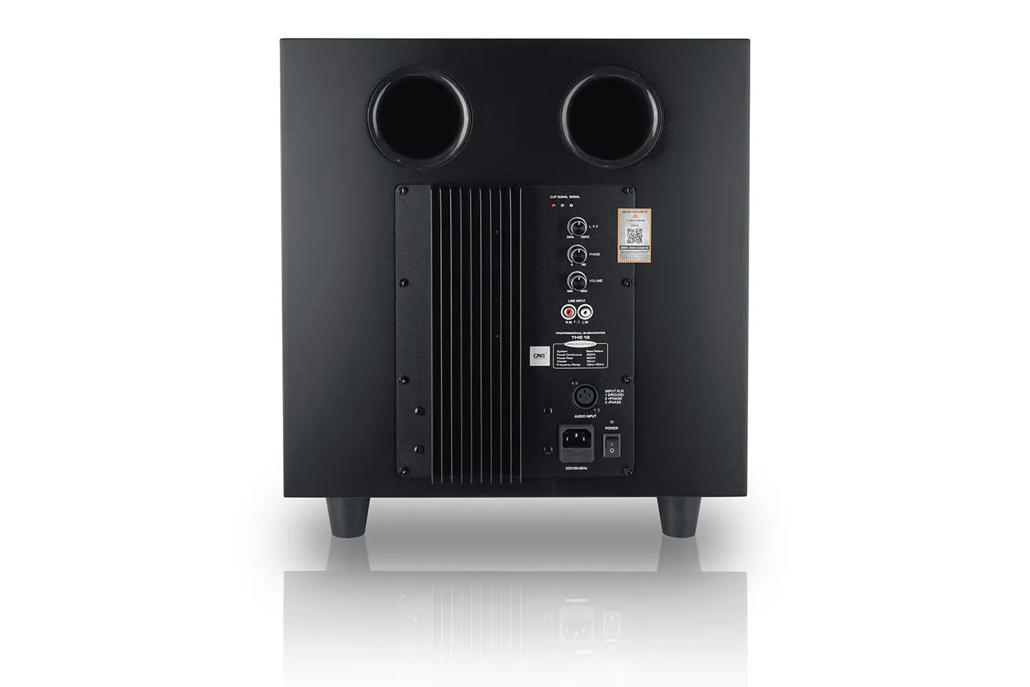 Loa Sub Điện CAVS THS12 VERSION 2 mặt sau