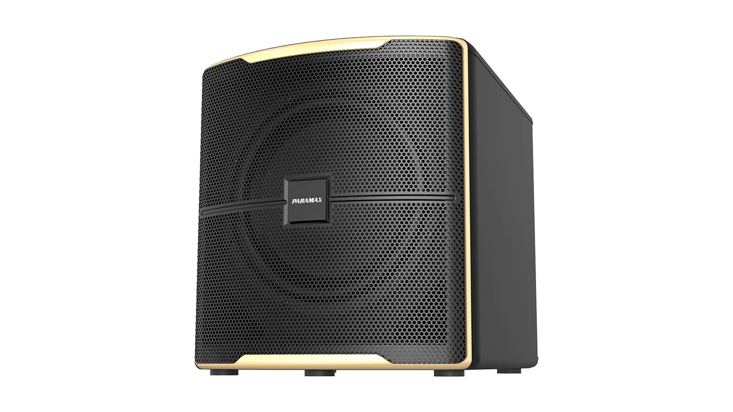 Loa Sub Paramax Z-Sub mặt nghiêng 2