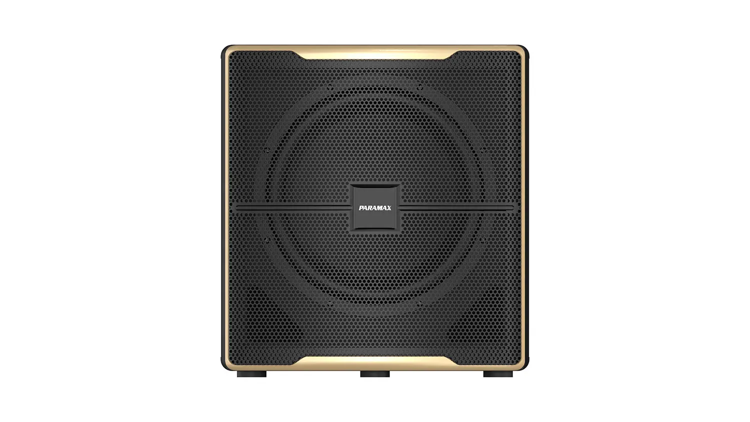 Loa Sub Paramax Z-Sub mặt trước