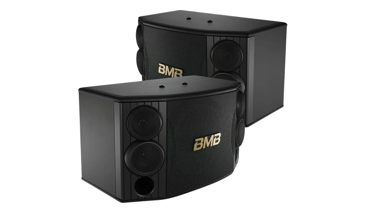 Ảnh sản phẩm Loa karaoke BMB CSD 880SE (bass 25cm) 2