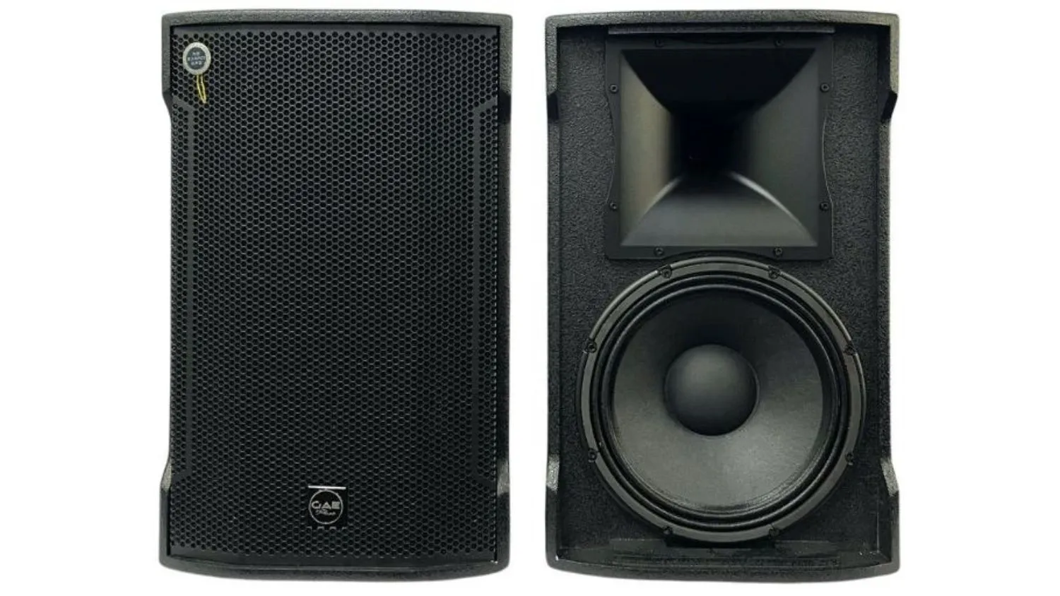 Loa đồng trục CAVS CM12