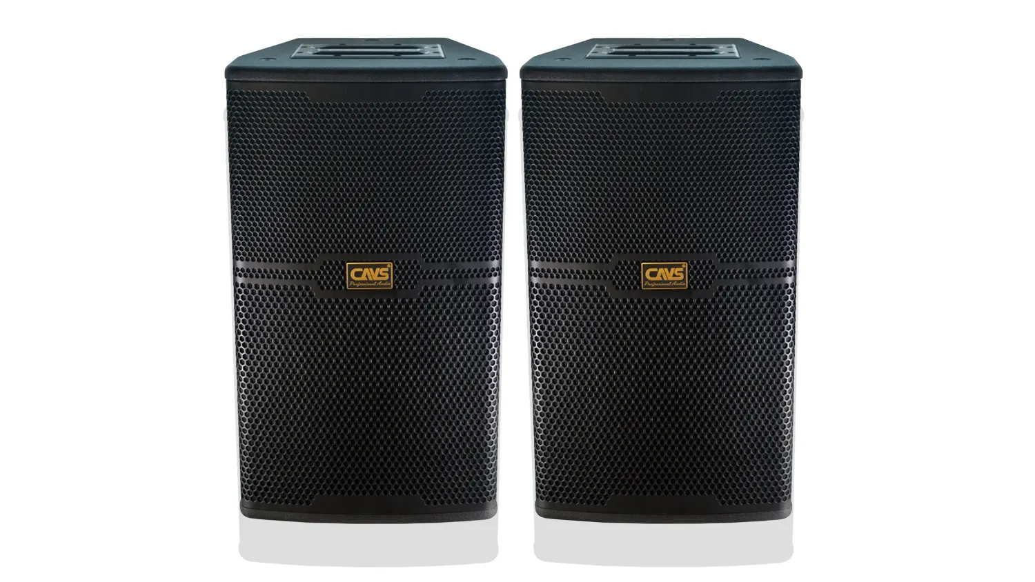 Loa Karaoke CAVS CS-301E