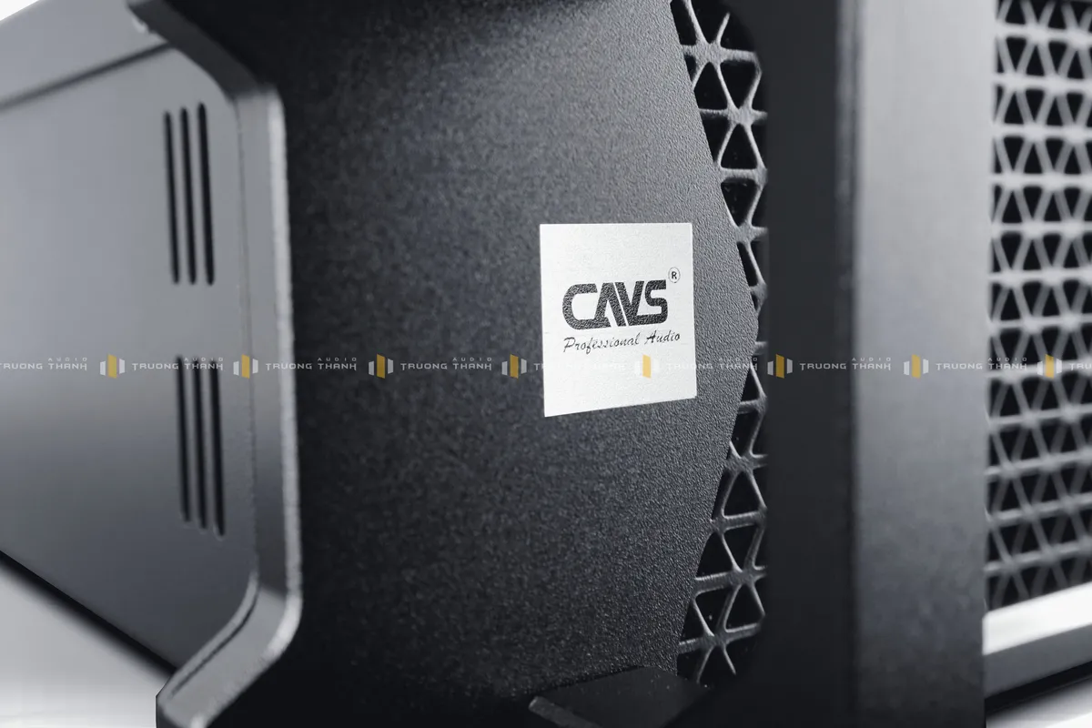 Logo thương hiệu của Cục đẩy công suất CAVS DG4.15