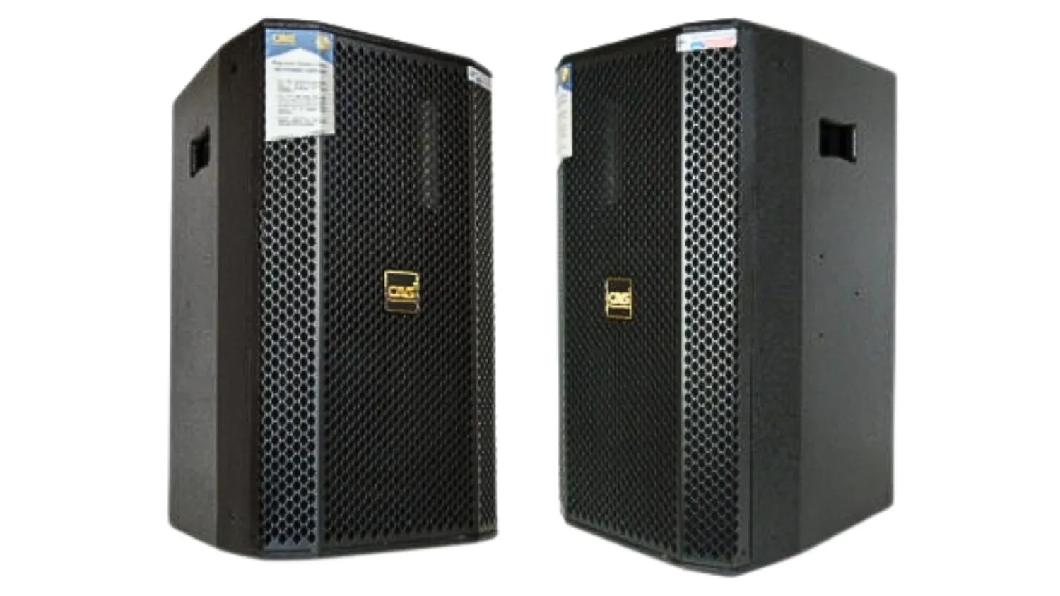 Mặt trước của  Loa Karaoke CAVS P12 Lite