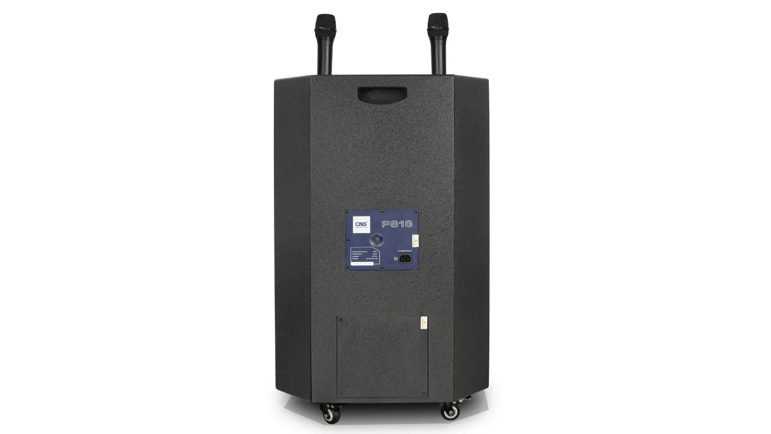 Loa kéo CAVS PS18 mặt sau