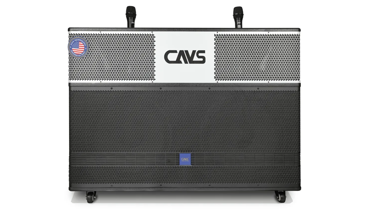 Loa kéo CAVS PS215 mặt trước