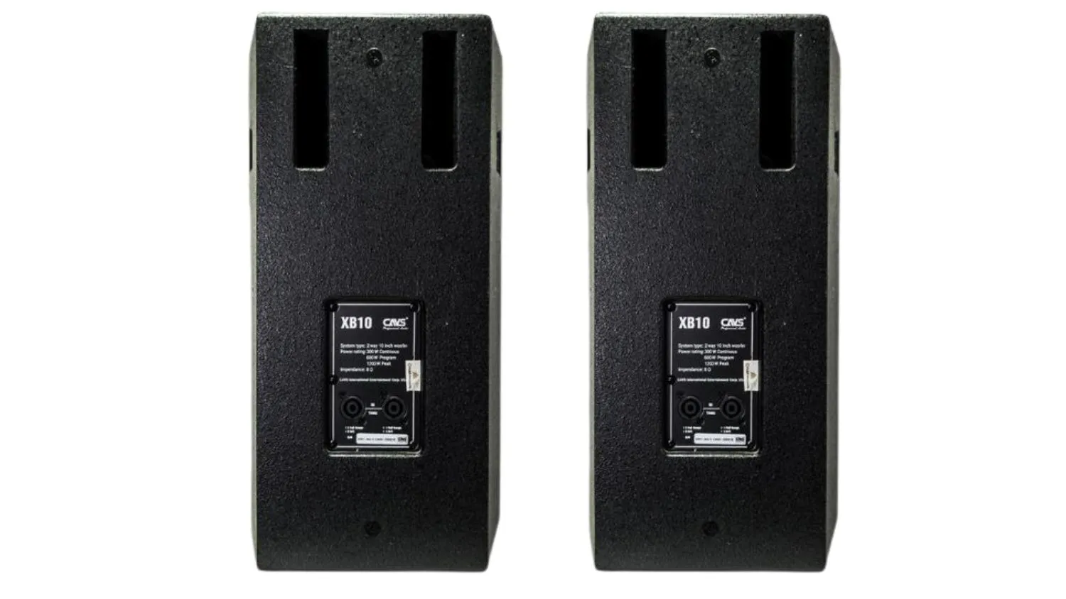 Mặt sau của Loa Full CAVS XB10