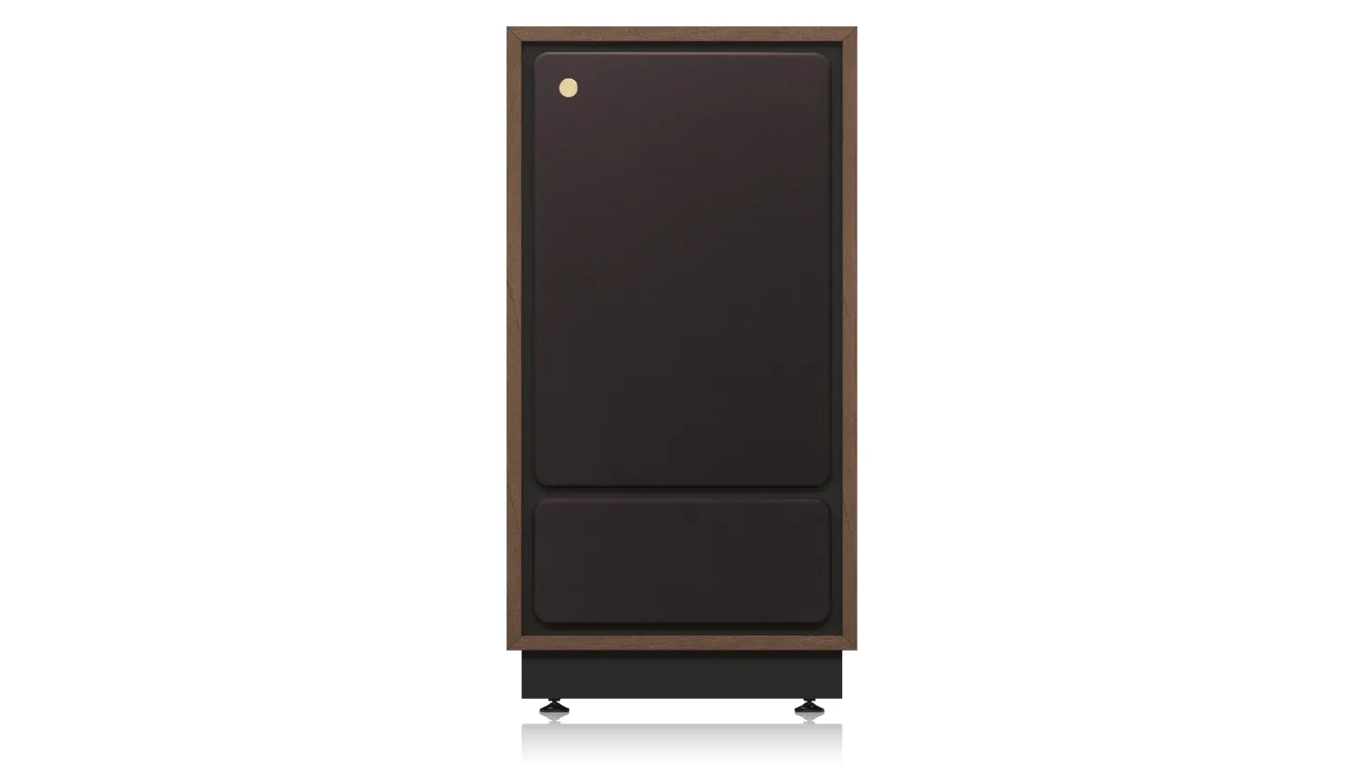 Mặt trước của Loa Tannoy Cheviot